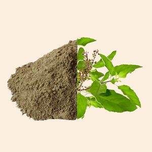 Tulsi en polvo | Polvo de frutas naturales y hierbas | Para el cuidado de la piel, cuidado del cabello y formulaciones de bricolaje | Suministro a granel - Product Image 1