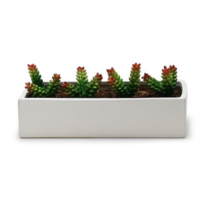 CBR1273WT - White Long Rectangle - 12x7x3 - Product Image 4