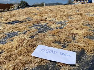 มอสจากทะเลเค็มแบบพรีเมี่ยมสำหรับเก็บเกี่ยวธรรมชาติสาหร่ายโนริแห้งจากเวียดนามสำหรับบำรุงผิวและใช้เป็นอาหาร - Product Image 3