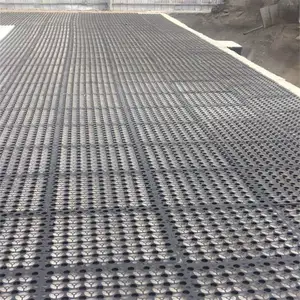 Panneau noir et blanc de tapis de cellule de drainage de HDPE pour l'autre produit de terrassement