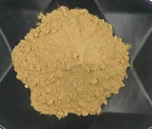Polvo de Extracto de Hongo Reishi Puro Marrón Oscuro para Uso en Té, Polvo de Extracto de Hongo Reishi 4oz / 5.5oz ANGLE - Product Image 2