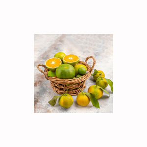 Limón Fresco Dulce al Por Mayor, Cítrico Maduro, Aromático, de Primera Calidad, Suministro para Exportación - Product Image 4