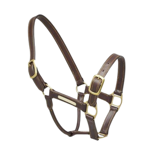 Nouvel arrivage de licou de cheval équestre en cuir pur à bas prix, avec plaque signalétique, par le fabricant indien. - Product Image 4