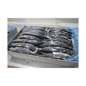 Thon albacore de haute qualité en tranches BQF processus de congélation emballage en vrac pour la vente en gros - Product Image 2