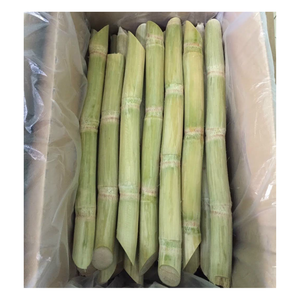 Frozen Sugarcane Ready to Juice, Fast <b>Delivery</b>, Competitive Price, Long Shelf Life, Processed with International Standards - Product Image 1