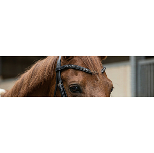 Elegante banda de cejas de color personalizable con adorno de cristal de cuero para bridas - Product Image 4