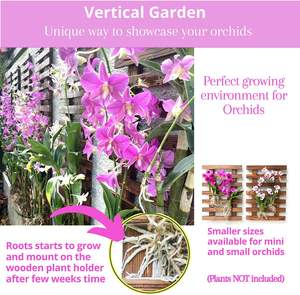 Porte-plantes et support à fleurs en bois, suspendu au mur, jardin, bois de pin du Vietnam, écologique - Product Image 6