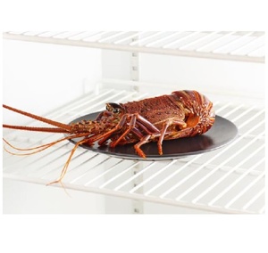 Langostas Australianas Congeladas de Alta Calidad, Mariscos Frescos Capturados en el Campo, Exportación a Granel - Product Image 4