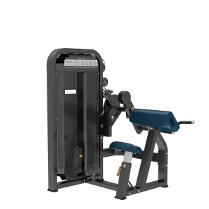 Ganas New Arrival phòng tập thể dục sang trọng thiết bị nhà cung cấp ngồi bắp tay/TRICEPS <span class=keywords><strong>Curl</strong></span> (2 trong 1) Máy tại Quảng Châu - Product Image 4