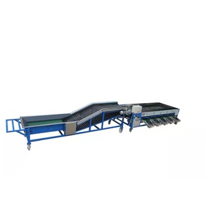Automatic Fruit and Vegetable Roller Grading <b>Machine</b> for Food <b>Processing</b> Plant - Product Image 6