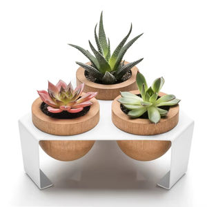 Pot de plante en bois pour plantes succulentes, support en métal blanc, décoration de bureau à domicile, porte-plante pour l'affichage des plantes de bureau, meilleur prix européen - Product Image 1