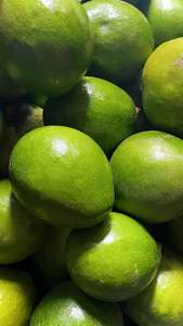 Aguacates orgánicos frescos Hass Larga vida útil Atmósfera controlada Suministro a granel con envío rápido - Product Image 4