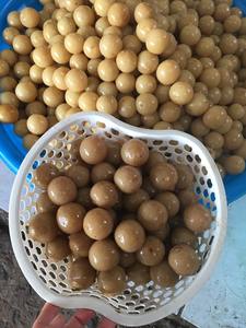 Limes salées pour boire et cuisiner Meilleur prix/Limes cueillies traditionnelles asiatiques/Citron en saumure - Product Image 3