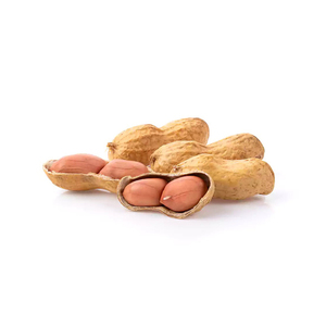 Chất Lượng Cao Cấp Blanched Đậu Phọng Hạt Tự Nhiên <span class=keywords><strong>Bold</strong></span> Phong Cách Khô Da Đỏ Hạt Xuất Khẩu Sẵn Sàng - Product Image 5