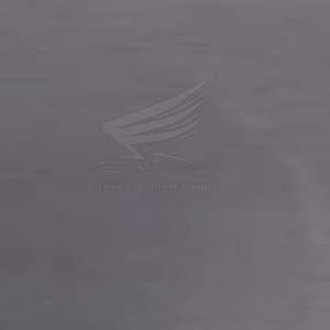 Vêtements de sport pour femmes, legging tendance, legging pour femmes, best-seller, legging pour femmes fabriqué au Pakistan - Product Image 6