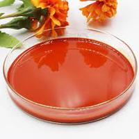 Extrait liquide de fleur de souci cultivé en milieu sauvage, extraits végétaux par extraction par solvant, colorant naturel, 100% pur, Lutéine 5%, en fût