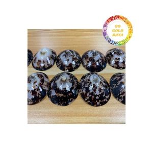 Venta al por mayor de conchas de Lapa, oferta a granel para accesorios artesanales y decoración del hogar con calidad superior y precio asequible - Product Image 3