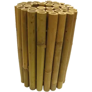 Tam Vong pali di bambù solidi spessi all'ingrosso pali di bambù naturale trattati per la costruzione di edifici a buon mercato prezzo in Vietnam
