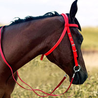 Bridons d'équitation personnalisables avec logo, haute qualité, prix bas, matériau solide, séchage rapide, confortables en coton/néoprène, les plus vendus
