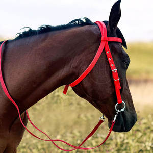 Customization Logo Low Price Horse Riding Bridles Solid Material <b>Top</b> Selling Horse Riding Bridles - Product Image 6