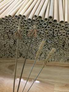 Pailles en bambou aux meilleurs prix pailles faites à la main du Vietnam pailles en bambou polies en douceur parfaites pour les chaînes alimentaires et les acheteurs mondiaux - Product Image 2