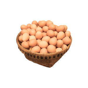 ไข่ไก่สีน้ำตาลเกรดส่งออก คุณภาพดีเยี่ยม พร้อมจัดส่งจำนวนมาก - Product Image 3