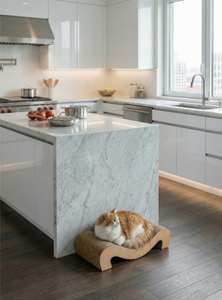 Griffoir pour chat double face de luxe Amistar de haute qualité Elite Harmony avec herbe à chat Pour chats de toutes tailles - Product Image 2