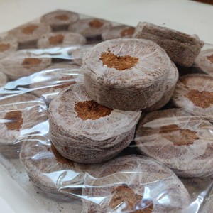 Sistema hidropónico automático de granos de turba de coco, enchufes de pellet de piel para semillas de vivero, venta al por mayor desde Vietnam - Product Image 4