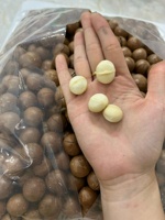 Nouvelle récolte 2024 noix de macademia naturelles décortiquées/non décortiquées à faible coût/noix de macadamia sèches crues de qualité en vrac/amande de qualité-ANNA DO