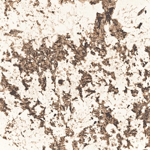 Heavy Duty นิยมมากที่สุดการออกแบบล่าสุด800X800Mm กระเบื้องปูพื้นพอร์ซเลนสำหรับตลาดซุปเปอร์และห้างสรรพสินค้า - Product Image 4