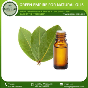 Fabricante directo 100% aceite esencial de cilantro natural prensado en frío a granel suministro al por mayor - Product Image 3
