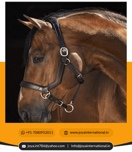 Bride Micklem de haute qualité pour chevaux Fabricant et fournisseur de matériel de cheval plié - Product Image 2