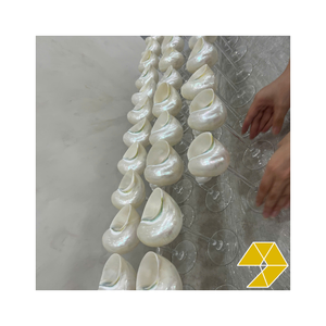 Collection de verres à vin en coquillage de luxe, verres à vin en coquillage en vrac, emballage soigné, grande quantité disponible, offres spéciales - Product Image 5