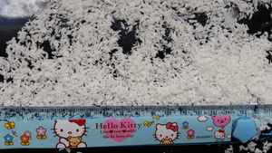 Venta de fábrica a bajo costo 60% ~ 63% Polvo de coco desecado de grado fino y medio alto en grasa y bajo en grasa-Anna Do + 84982153058 - Product Image 4