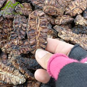 Vente de gros Morinda citrifolia séchée au soleil Fruits noni secs naturels de qualité supérieure prêts à exporter - Product Image 4