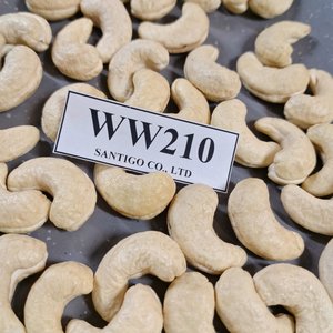 Noix sèches en vrac bon marché Kaju noix de cajou WW210 noix SANTIGO et amandes - Product Image 1