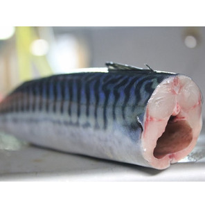 Al por mayor caballa congelada entera eviscerada, limpiada y lavada envasada al vacío de la mejor calidad lista para cocinar y preparar para las comidas - Product Image 5