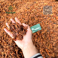 Anis étoilé naturel séché non transformé, sélectionné en usine, provenance Vietnam, tri soigné, teneur élevée en huile, export compétitif