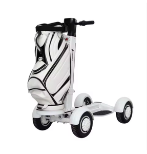 10-Inch Foldable Electric With 2000W Single Seat Portable 4-Wheel Electric Trolley - Product Image 1