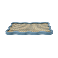 Plateau en rotin tissé artisanal plateau de canne peint au pastel parfait pour les présentoirs de table basse et la décoration d'intérieur élégante en gros du Vietnam