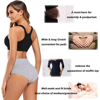 Ropa Interior Femenina de Alta Elasticidad, Tejido Sin Costuras, Cómoda, Venta al Por Mayor, Logotipo Personalizado, Servicio OEM, Antibacteriana para Adultos