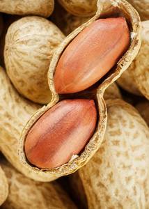 Top Grade Blanched <strong>Peanuts</strong> in Bulk Natural Organic Raw <strong>Peanut</strong> <strong>Kernels</strong> for Snacks Dried Style-Wholesale <strong>Java</strong> <strong>50</strong>/<strong>60</strong> <strong>Peanut</strong> <strong>Kernels</strong> - Product Image 2