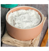 Herbojit International Poudre de Vanille Lyophilisée la Plus Vendue 100% Naturelle Arôme Supérieur Additif Alimentaire de Qualité Supérieure Riche en Arômes en Vrac