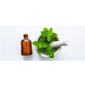 Peppermint Wholesale New Fragrance Oil Peppermint Hydrosol Cheaper Prices Peppermint Essential Oil 100% Pure Natural