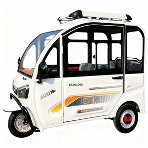 Tricycle électrique Falcon à carrosserie fermée, 3 places, petit véhicule familial pour femmes et enfants, scooter <span class=keywords><strong>de</strong></span> mobilité pour <span class=keywords><strong>personnes</strong></span> âgées - Product Image 2