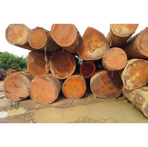 Troncos de Pino a Granel, Calidad A/B/C, para Compradores Internacionales que Buscan Materia Prima de Madera Blanda para la Construcción - Product Image 1