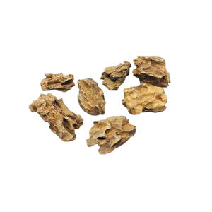 AQS Eco-Friendly Stone Pebbles and Coral <b>Sand</b> for Aquariums Bucket Shape 1L Volume Made in Vietnam Size As Required - Product Image 3