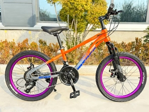 Cadeau de Noël pour les jeunes cyclistes, cadre en acier, frein à disque, 21 vitesses, vélo <span class=keywords><strong>VTT</strong></span> de 20 <span class=keywords><strong>pouces</strong></span>, soutien à la vente en gros et à la personnalisation - Product Image 3