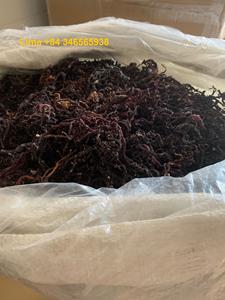 Musgo Irlandés Natural Euchema Cottonii, Musgo Marino Silvestre de Vietnam - La Mejor Calidad para Exportación / Sra. Lima - Product Image 4