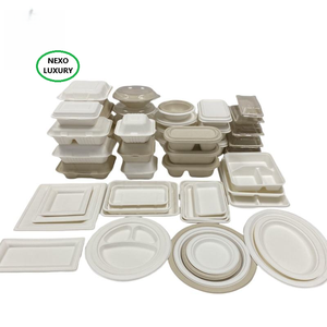 100% Naturel Bagasse Canne À Sucre Bento Plateau Respectueux De L'environnement Biodégradable Récipient Alimentaire Vaisselle Jetable Vaisselle - Product Image 3
